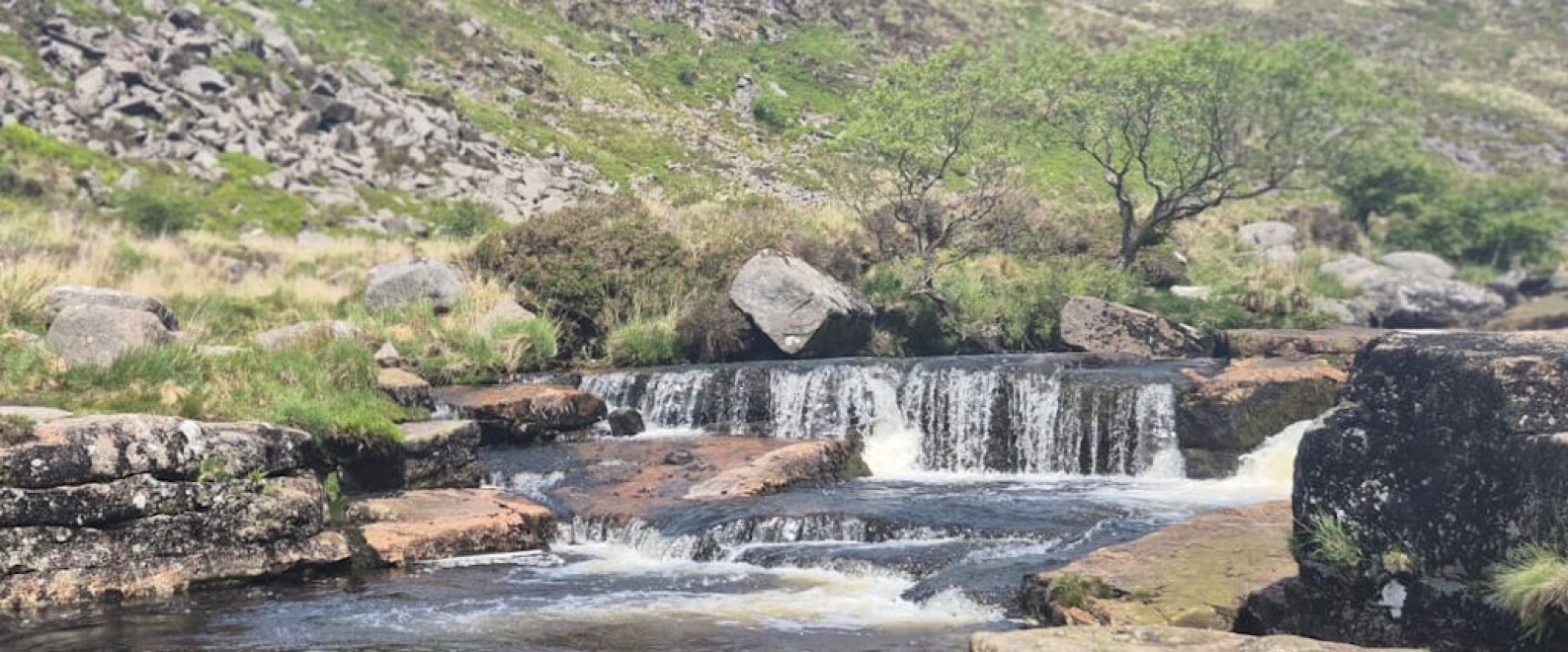 DartmoorRiver